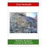 Livre Poèmes d'espoir à Gaza la dévastée